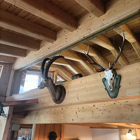 1400 Nuova Gestione فندق ليمون بييمونت