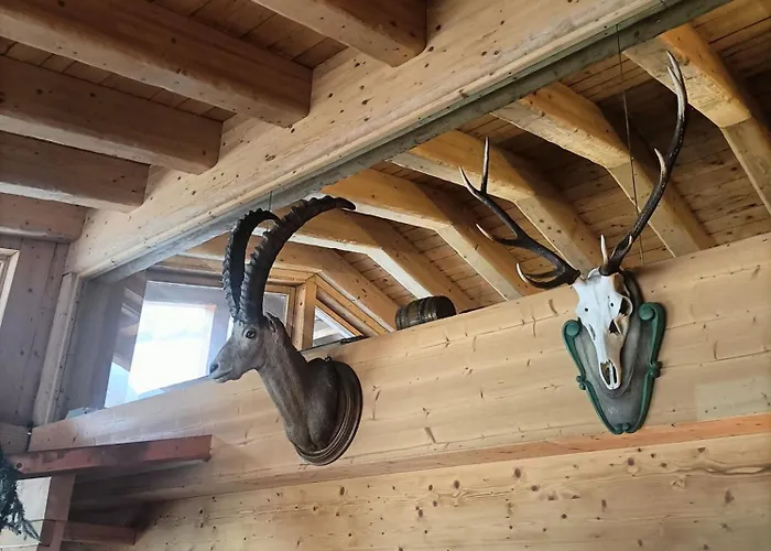 1400 Nuova Gestione Hotel Limone Piemonte